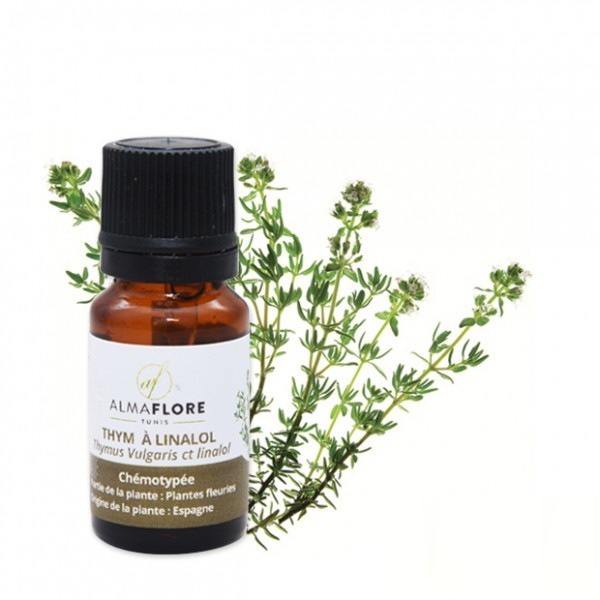 ALMAFLORE HUILE ESSENTIELLE DE THYM A THYMOL 10ML