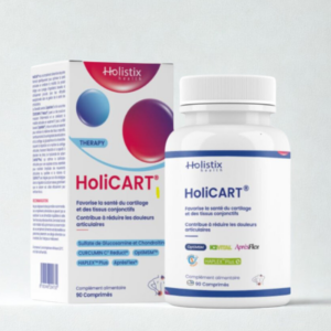 HOLISTIX HOLICART 90 COMPRIMES