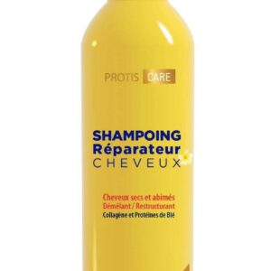 PROTIS SHAMPOOING REPARATEUR CHEVEUX SECS ET ABIMES 250ML