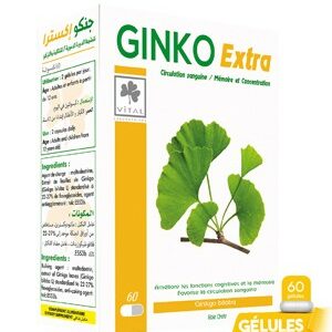 VITAL GINKO EXTRA 60 GELULES