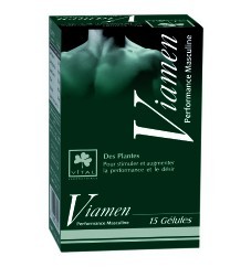 VITAL VIAMEN 15 GELULES