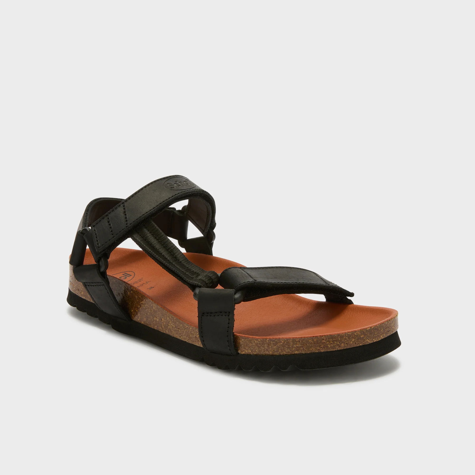 SCHOLL HEAVEN AD NOIR